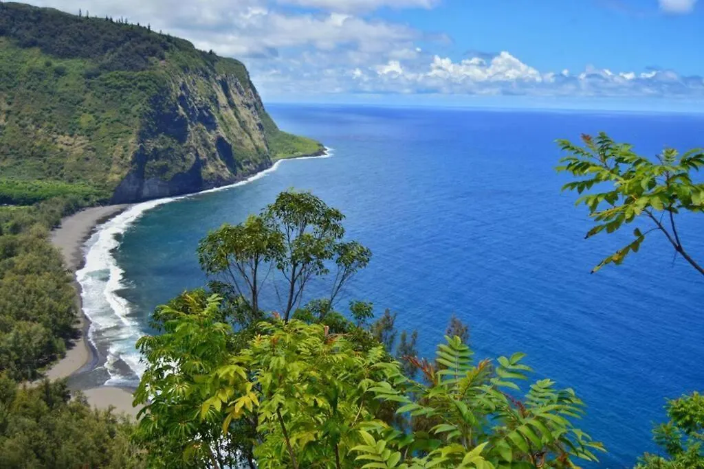 Beautifully Renovated Oceanfront Condo W/ Breathe Taking Views! - Hale Kona Kai 302 Kailua-Kona Сasa de vacaciones